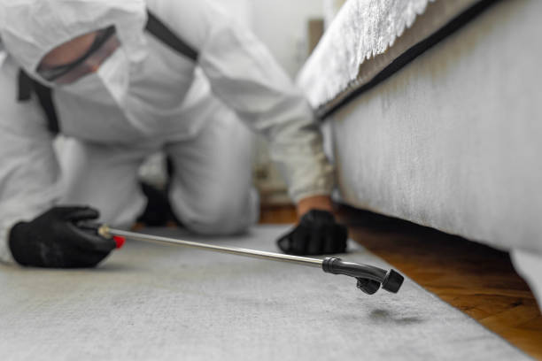 Professional Termite Control technician working in Roslyn Estates, NY