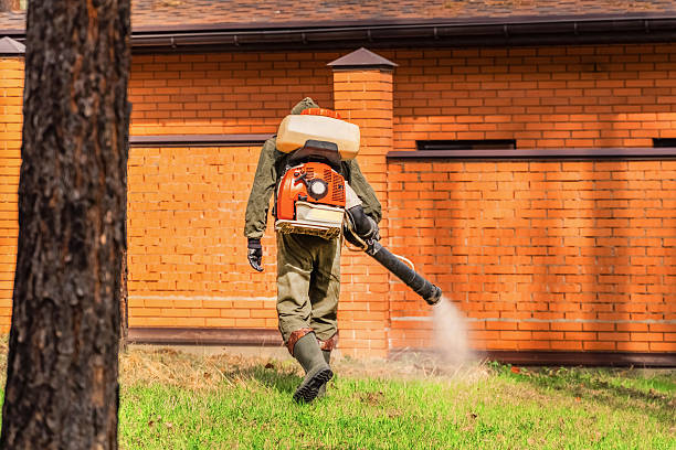 Trusted Cockroach Control service in Roslyn Estates, NY - Nex Pest Control